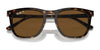 Ray-Ban RB2210 Sunglasses | Size 53 / Black №901/31 / Green (3N 13.2%)