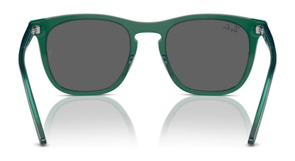 Ray-Ban RB2210F Sunglasses | Size 53