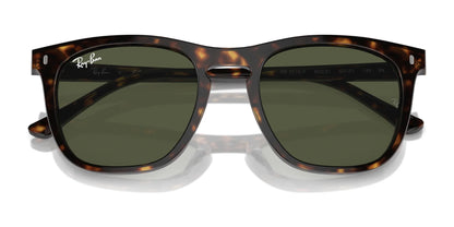 Ray-Ban RB2210F Sunglasses | Size 53