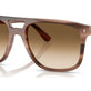 Havana Brown №142351