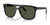 Ray-Ban RB2213 Sunglasses / Black №901/31