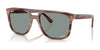 Ray-Ban RB2213CH Sunglasses / Havana Brown №1423O9 / Light Blue (Polarized) (2P 19.70%) / Size 55