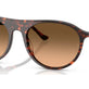 Havana Red Turtle №14293B