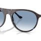 Havana Blue Turtle №14303F