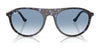 Ray-Ban RB2215 Sunglasses / Black №901/31 / Green (3N 13.2%) / Size 56