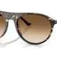 Havana Yellow Turtle №143151