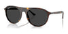 Ray-Ban RB2215 Sunglasses / Havana №902/48 / Black (Polarized) (3P 11.40%) / Size 56