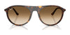 Ray-Ban RB2215 Sunglasses / Black №901/31 / Green (3N 13.2%) / Size 56