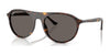 Ray-Ban RB2215 Sunglasses / Havana №902/B1 / Dark Grey (3N 15.30%) / Size 56