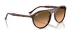 Ray-Ban RB2215F Sunglasses | Size 56 / Black №901/31 / Green (3N 13.2%)