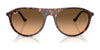 Ray-Ban RB2215F Sunglasses | Size 56 / Black №901/31 / Green (3N 13.2%)