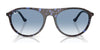Ray-Ban RB2215F Sunglasses | Size 56 / Black №901/31 / Green (3N 13.2%)