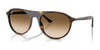 Ray-Ban RB2215F Sunglasses | Size 56 / Havana №902/51 / Clear Gradient Brown (2N 30.5%)