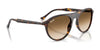 Ray-Ban RB2215F Sunglasses | Size 56 / Black №901/31 / Green (3N 13.2%)