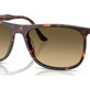 Havana Red Turtle №14290A