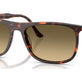 Havana Red Turtle №14290A