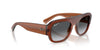 Ray-Ban RB2218 Sunglasses | Size 55 / Black №667771 / Dark Green (3N 14.3%)