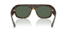 Ray-Ban RB2218 Sunglasses | Size 55 / Black №667771 / Dark Green (3N 14.3%)