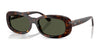 Ray-Ban RB2221 Sunglasses / Havana №902/31 / Green (3N 13.2%) / Size 53