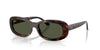 Ray-Ban RB2221F Sunglasses | Size 55 / Havana №902/31 / Green (3N 13.2%)