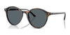 Ray-Ban RB2230 Sunglasses / Havana Yellow & Blue №1356R5 / Blue (3N 10.7%) / Size 51