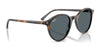 Ray-Ban RB2230 Sunglasses / Havana Grey & Brown №135733 / Brown (3N 14.6%) / Size 51