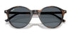 Ray-Ban RB2230 Sunglasses / Havana Grey & Brown №135733 / Brown (3N 14.6%) / Size 51