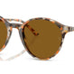 Havana Grey & Brown №135733