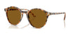 Ray-Ban RB2230 Sunglasses / Havana Grey & Brown №135733 / Brown (3N 14.6%) / Size 51