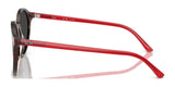 Ray-Ban BERNARD RB2230 Sunglasses