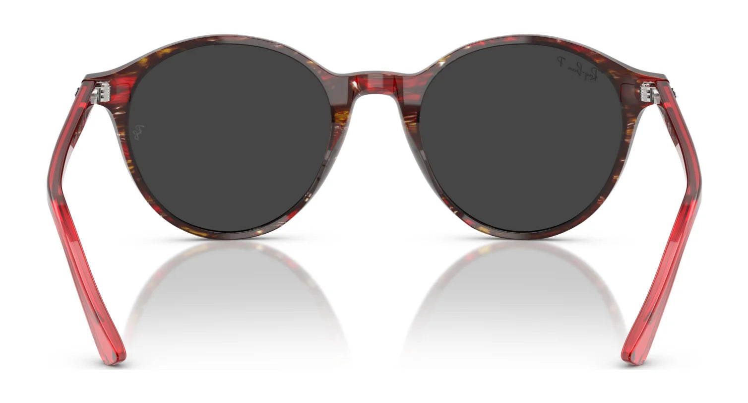 Ray-Ban BERNARD RB2230 Sunglasses