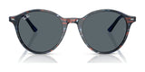 Ray-Ban BERNARD RB2230 Sunglasses
