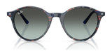 Ray-Ban BERNARD RB2230 Sunglasses