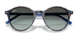 Ray-Ban BERNARD RB2230 Sunglasses