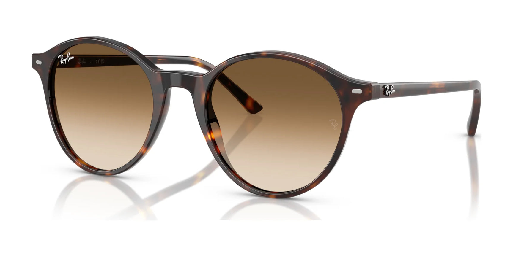 Ray-Ban BERNARD RB2230 Sunglasses