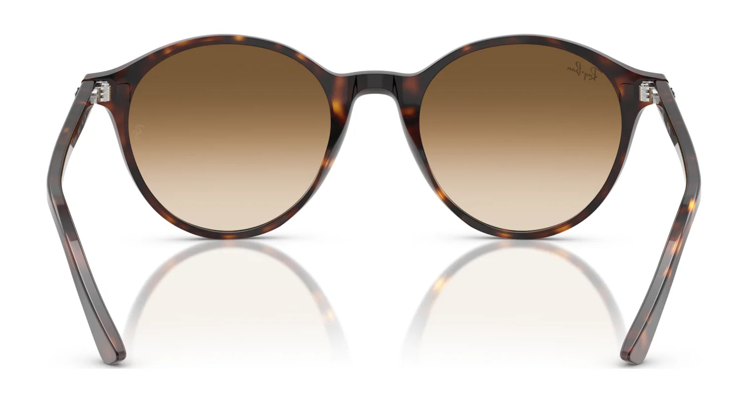 Ray-Ban BERNARD RB2230 Sunglasses