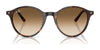 Ray-Ban BERNARD RB2230 Sunglasses / Black №901/31 / G-15 Green (3N 13.2%) / Size 51