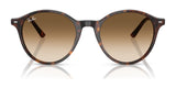 Ray-Ban BERNARD RB2230 Sunglasses