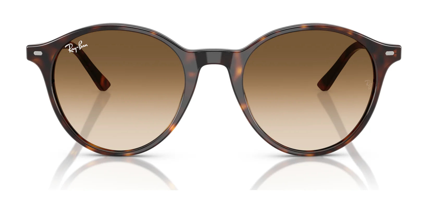 Ray-Ban BERNARD RB2230 Sunglasses