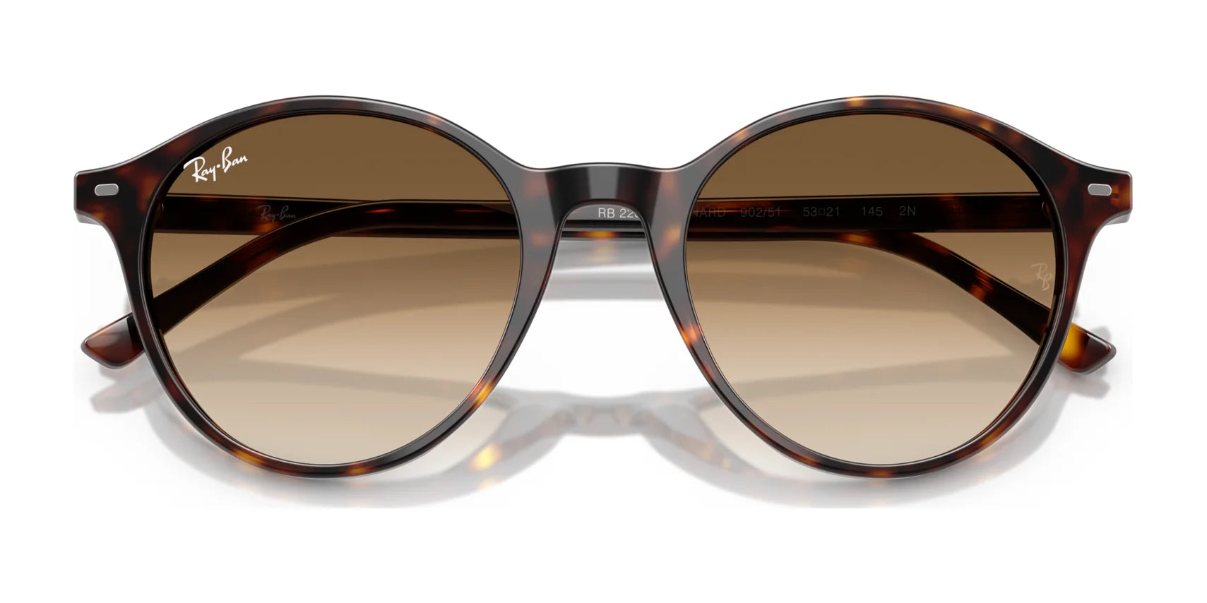 Ray-Ban BERNARD RB2230 Sunglasses