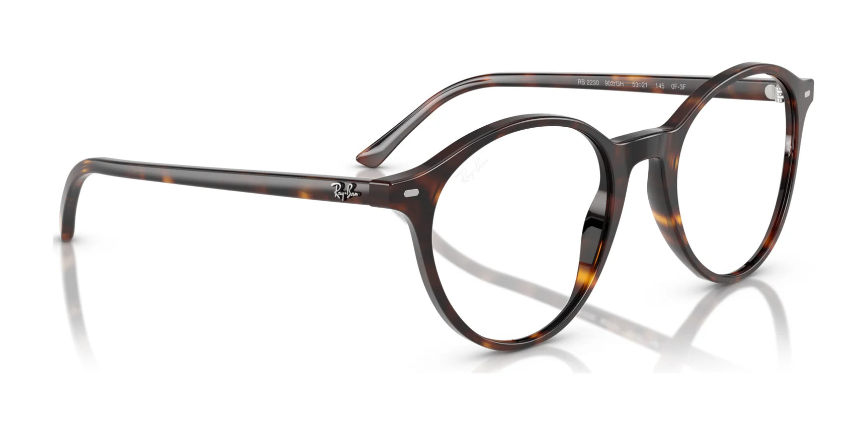 Ray-Ban BERNARD RB2230 Sunglasses