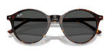 Ray-Ban BERNARD RB2230 Sunglasses