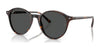 Ray-Ban BERNARD RB2230 Eyeglasses | Size 53 / Havana №902/GH / Transitions 8 Grey (Photochromic) (3F 15.7%)
