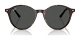 Ray-Ban BERNARD RB2230 Sunglasses