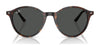 Ray-Ban BERNARD RB2230 Eyeglasses | Size 53 / Havana №902/GH / Transitions 8 Grey (Photochromic) (3F 15.7%)