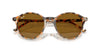 Ray-Ban RB2230F Sunglasses | Size 51 / Havana Grey & Brown №135733 / Brown (3N 14.6%)