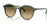 Ray-Ban BERNARD RB2230F Sunglasses | Size 51 / Transparent Shade Fantasy Green №14210A