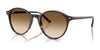 Ray-Ban BERNARD RB2230F Sunglasses | Size 51