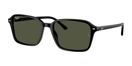 Ray-Ban RAIMOND RB2231 Sunglasses Black / G-15 Green