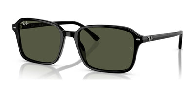 Ray-Ban RAIMOND RB2231 Sunglasses